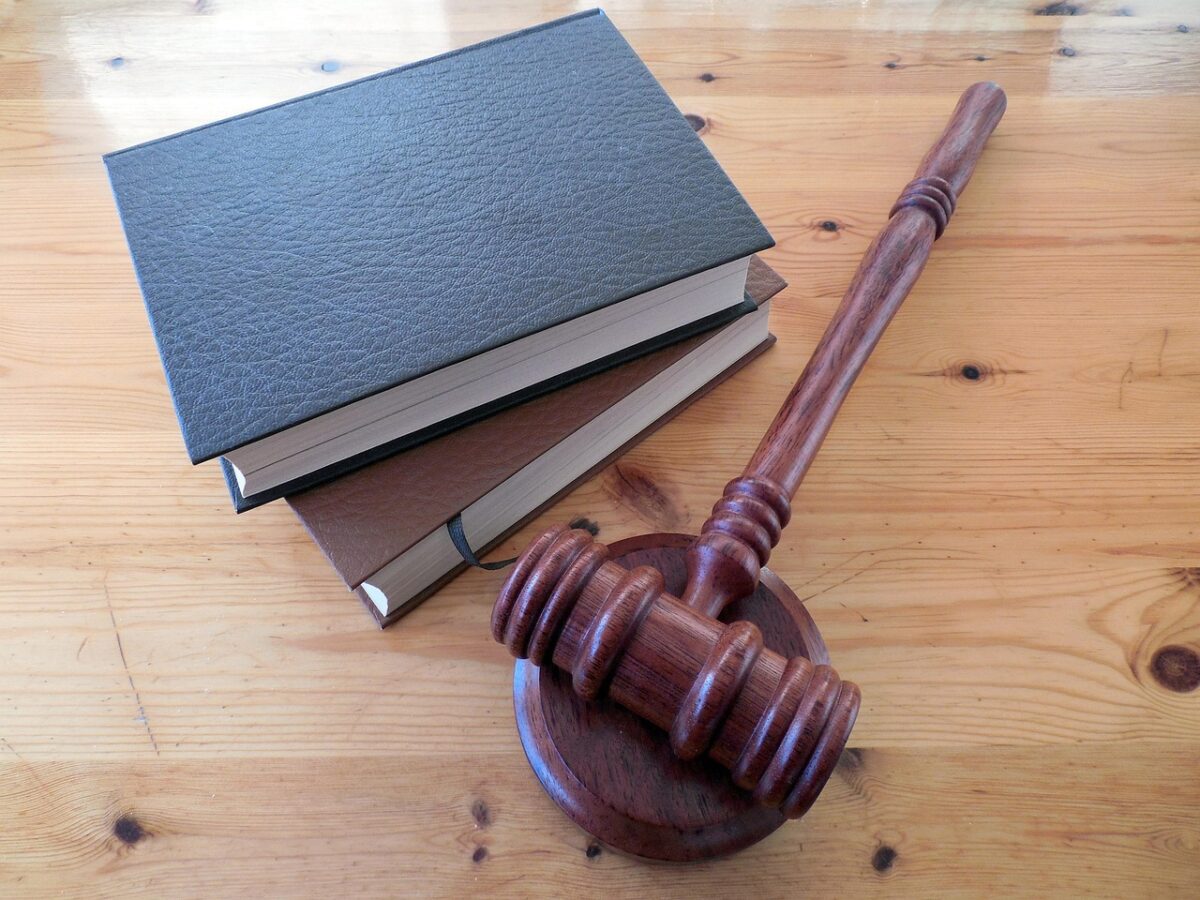 Summary of District Court’s Decision in Adkins v. Idaho (2025)